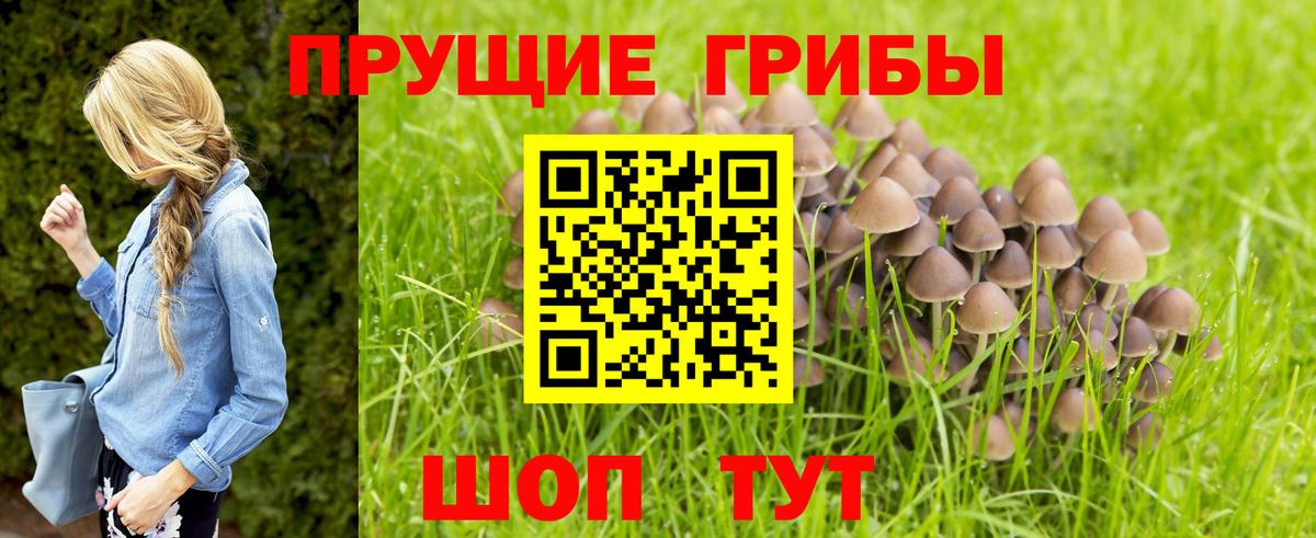 Галлюциногенные грибы Cubensis  Вход с VPN  продажа наркотиков  Бирск 