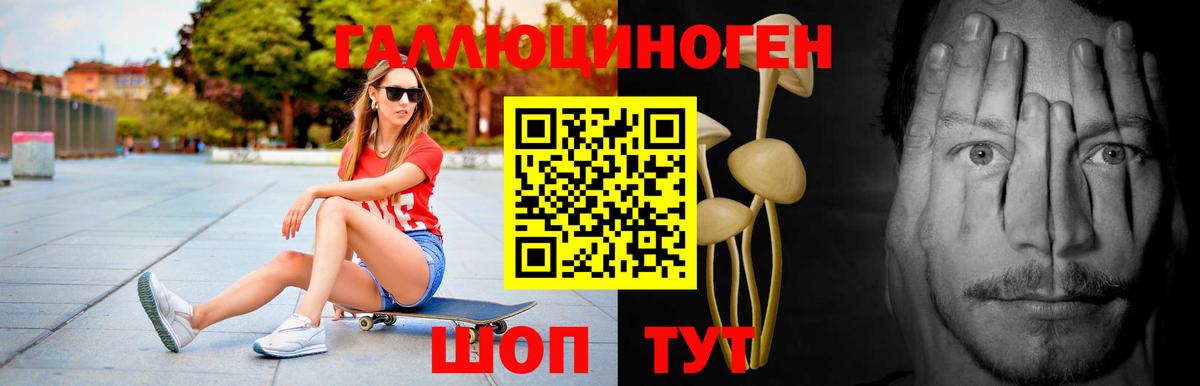 Галлюциногенные грибы Psilocybine cubensis Бирск